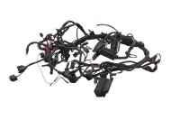 Cablaggio impianto elettrico principale motore BMW R 1200 GS K25 0307 R12 04-07