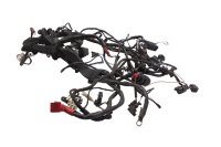 Cablaggio impianto elettrico principale motore BMW R 1200 GS K25 0307 R12 04-07