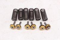 Ressorts embrayage vis coupelles 6 pièces Aprilia SMV 750 Dorsoduro M551M 08-17