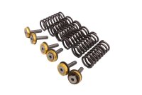Ressorts embrayage vis coupelles 6 pièces Aprilia SMV 750 Dorsoduro M551M 08-17