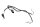 Indicator wiring harness left right front BMW R 1150 R Rockster R28 0308 03-05