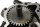 Wasserpumpe Ölpumpe Gehäuse mit Zahnrad BMW K 100 RS 4 Ventiler K589 0523 89-92