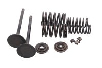 Exhaust valve set springs retainers keepers collets Suzuki DR 650 SE SP46B 96-00