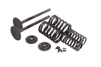 Exhaust valve set springs retainers keepers collets Suzuki DR 650 SE SP46B 96-00