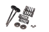 Exhaust valve set springs retainers keepers collets Suzuki DR 650 SE SP46B 96-00