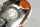 Blinker hinten rechts Glas Reflektor Lampe BMW R 1100 S 259 0422 R2S 98-05