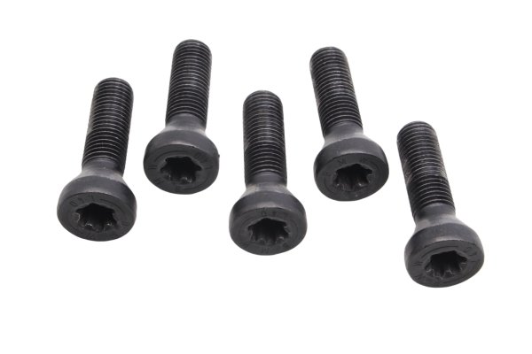 Bulloni ruota set 5 pezzi cerchio posteriore BMW R 1200 GS K25 0307 R12 04-07