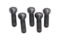Bulloni ruota set 5 pezzi cerchio posteriore BMW R 1200 GS K25 0307 R12 04-07