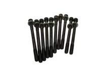 Cylinder head bolts screws set 10 pieces engine studs BMW K 100 K100 K589 82-88