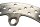 Bremsscheibe vorne links Brake Disc Brembo gelocht BMW R 1200 RT K26 0368 05-09