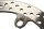 Bremsscheibe vorne links Brake Disc Brembo gelocht BMW R 1200 RT K26 0368 05-09