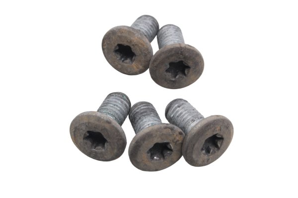 Brake disc rotor bolts screws set 5 pieces rear BMW R 1200 GS K25 0307 R12 04-07