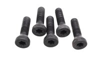 Wielbouten velgschroeven achter set 5 stuks BMW R 1200 GS K25 0307 R12 04-07