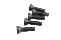 Wielbouten velgschroeven achter set 5 stuks BMW R 1200 GS K25 0307 R12 04-07