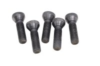 Wielbouten velgschroeven achter set 5 stuks BMW R 1200 GS K25 0307 R12 04-07