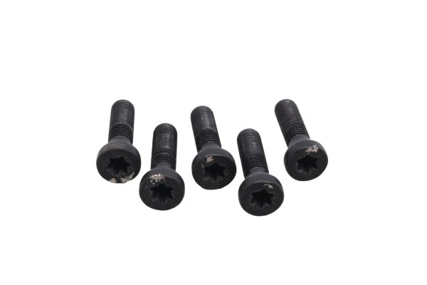 Radschrauben Felgenschrauben Hinterrad 5 Stück BMW R 1200 GS K25 0307 R12 04-07