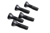 Radschrauben Felgenschrauben Hinterrad 5 Stück BMW R 1200 GS K25 0307 R12 04-07