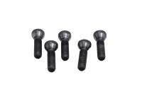 Radschrauben Felgenschrauben Hinterrad 5 Stück BMW R 1200 GS K25 0307 R12 04-07