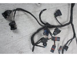 Wiring down cable harness electrical lines BMW F 800 ST E8ST 06-12