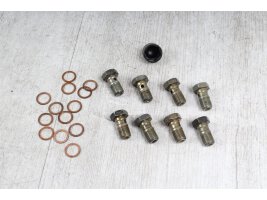 Set screw brake lines +nuts BMW R 1100 GS 259 94-99