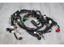 Wiring down cable harness electrical lines Suzuki Inazuma...
