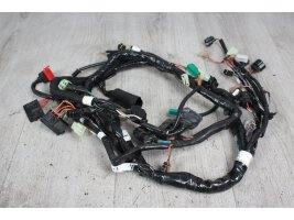 Wiring down cable harness electrical lines Suzuki Inazuma 250 F GW250 13-16