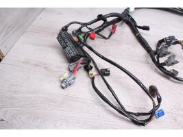 Wiring down cable harness electrical lines Honda DN-01...