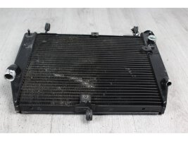 Water cooler radiator fan cooler Yamaha YZF-R1 RN09 02-03