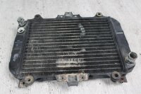 Wasserkühler Kühler Radiator Kühlwasser Kawasaki KLE 500 LE500A1-A11 91-01
