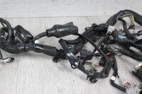 Kabelbaum Kabelstrang Elektrik Kawasaki Z 1000 SX ZRT00F 14-16