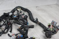 Kabelbaum Kabelstrang Elektrik Kawasaki Z 1000 SX ZRT00F 14-16