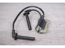 Ignition coil Candle plug Honda CBR 600 F (Vergaser) PC35 99-00