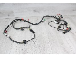 Wirroom main cable tree cable strand electrics Honda CBR...