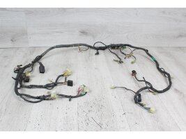 Câbles principaux du fil électrique Kawasaki...