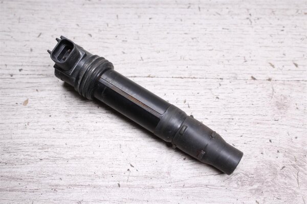 Zündspule Kawasaki ZX-6R Ninja ZX636C 05-06