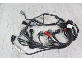 Arbre de câble principal Honda CBF 600 PC43 08-10