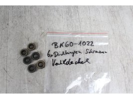 6x seals screws valve lid Yamaha YZF-R6 RJ03 99-02