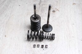 Set outlet valve valve springs Suzuki GSX-R 1100 Modell H...