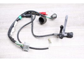 Kabelbaum Kabelstrang Honda CBR 600 F (Vergaser) PC35 99-00