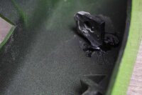 Rocking Cladding Cladding à larrière de Kawasaki GPZ 500 S EX500A/A 87-88