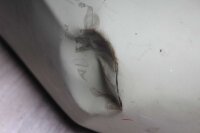 Tank Kraftstofftank Benzintank Kawasaki GPZ 305 EX305A 83-83