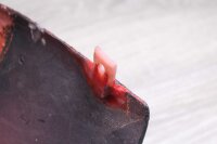 Bug trim cladding at the front Kawasaki GTR 1000 ZGT00A 86-95