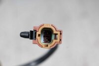 Vergaser Vergaserheizung Kawasaki ZX-9R ZX900C 98-99