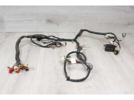 Mazo de cables principal Yamaha XJR 1300 RP02 99-01