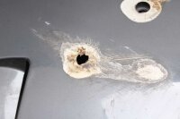 Side panel panel front left Yamaha FZR 1000 Exup 3LE 89-93