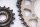 Chain kit timing chain Yamaha YZF R1 RN01 98-99